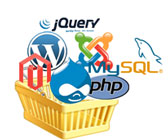 Web Development Web Development